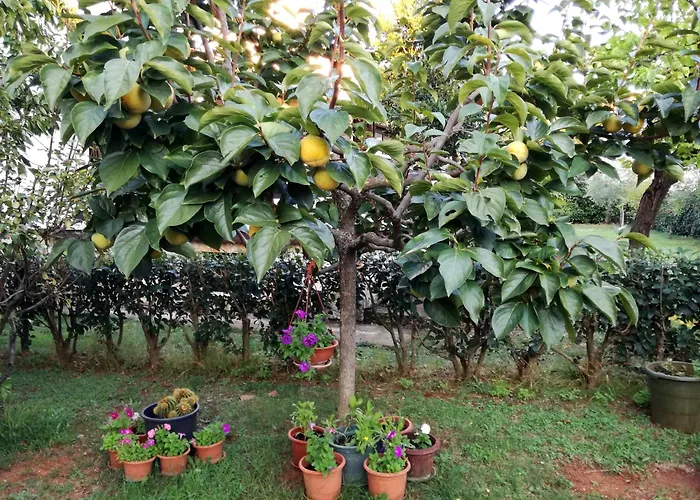 With Parking Space - 19657 Διαμέρισμα Πόρετς