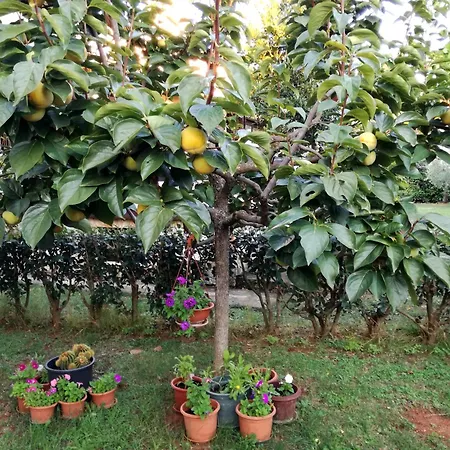 With Parking Space - 19657 Apartment Poreč